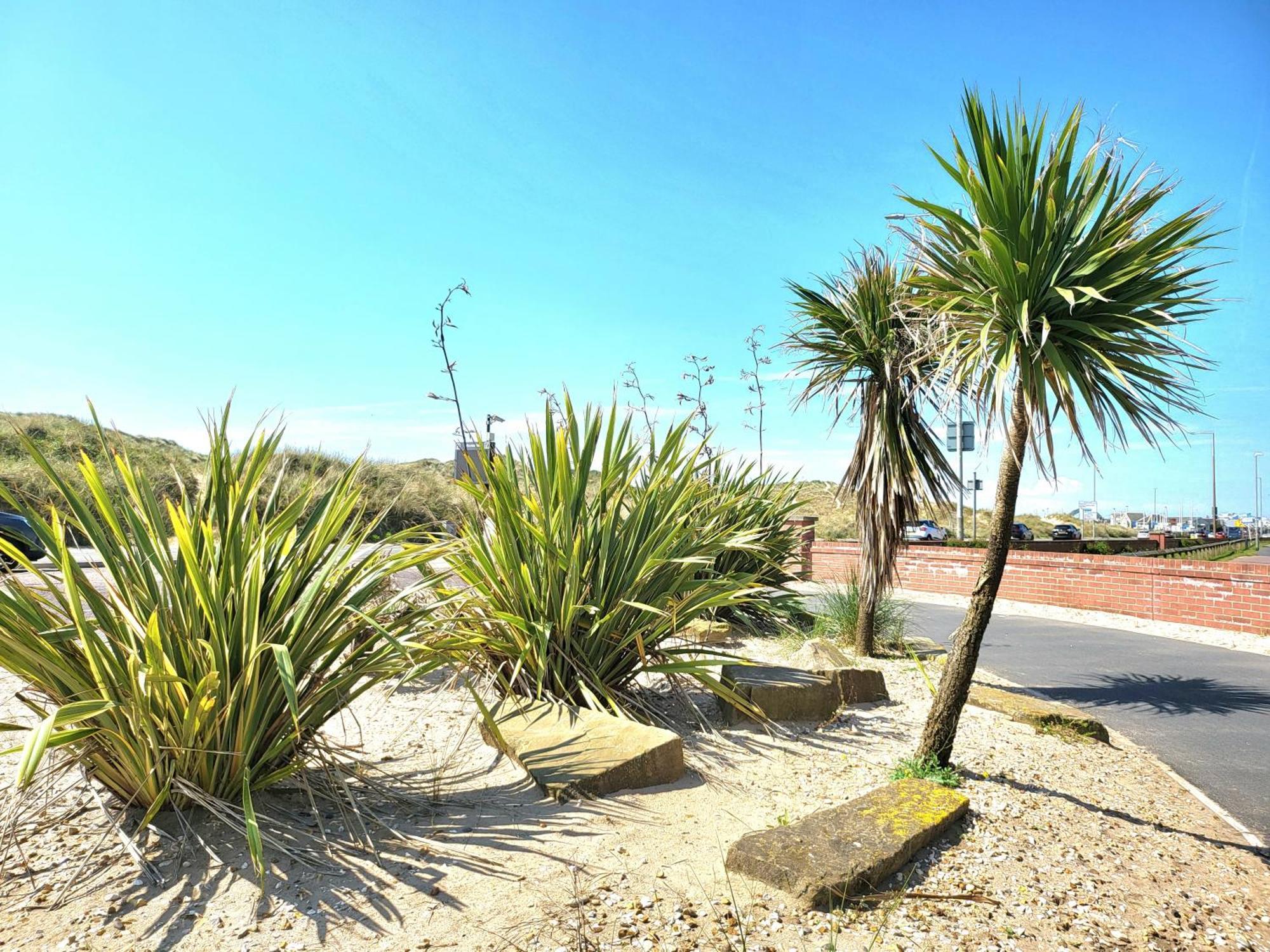 Seaside Beach Themed Home With Garden And Driveway Lytham St Annes Exterior photo